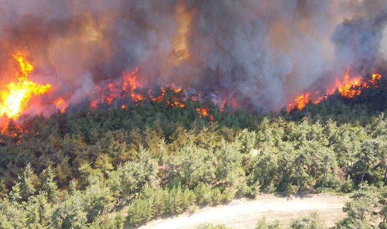 Orman Genel Müdürlüğü yangın söndürme helikopteri kiralama ihalesini iptal etti