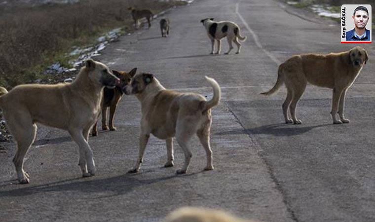 Elmadağ Belediye Başkanı Aşkın: 