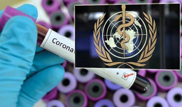 14 ülkeden DSÖ'ye tepki