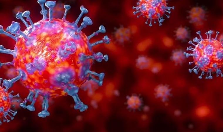 'İngiliz mutantı yüzde 35 daha bulaştırıcı'