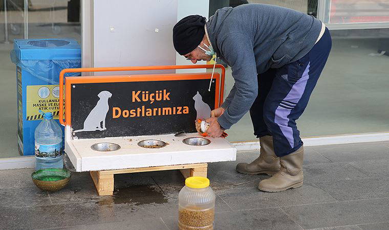 Sokak hayvanları için 'iyilik mesaisi'