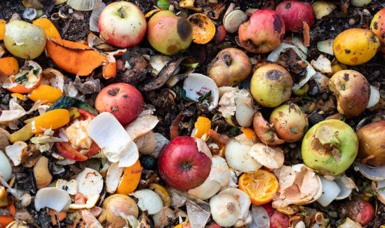 2021 BM Gıda İsrafı Raporu: Türkiye'de her yıl 7,7 milyon ton yiyecek çöpe atılıyor