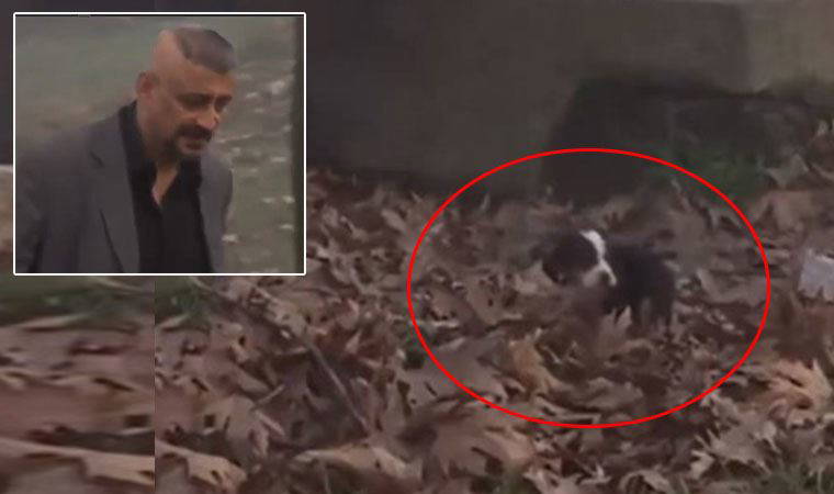 Kanal 7 ekranlarında skandal görüntüler