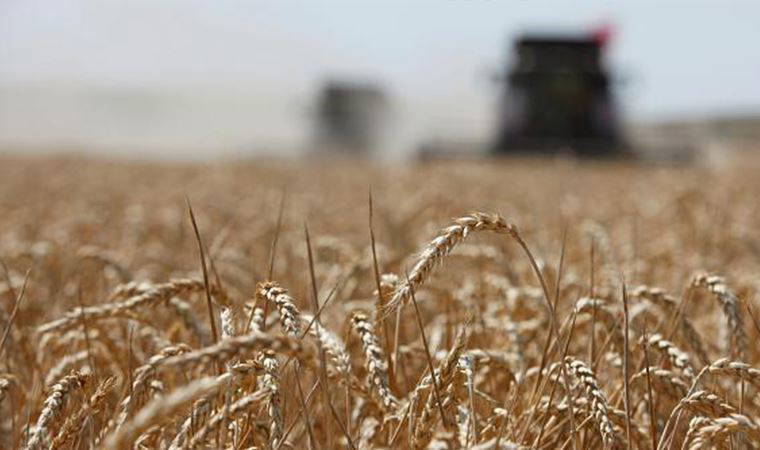 Yabancıların Türkiye’de 16 milyon metrekare tarım arazisi var