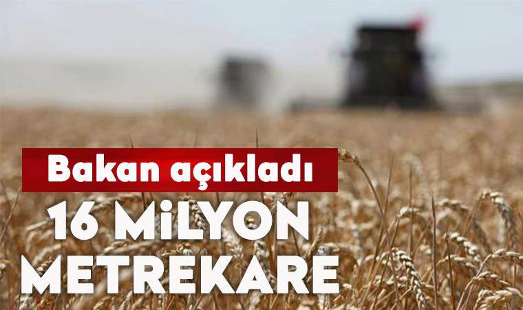 Yabancıların Türkiye’de 16 milyon metrekare tarım arazisi var