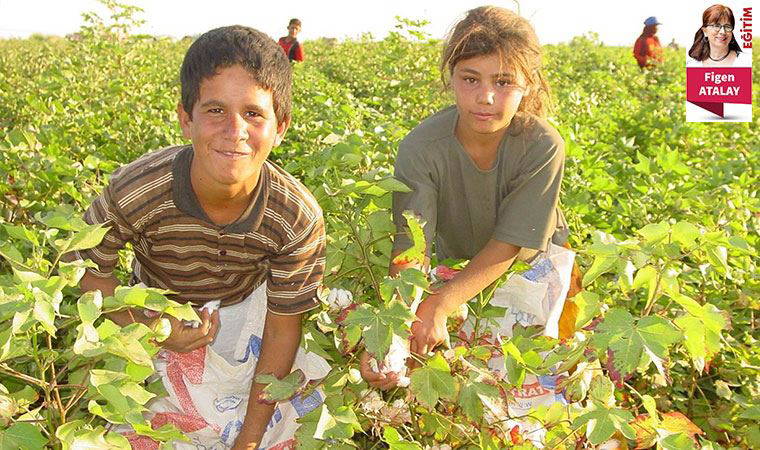 TEDMEM 2020 Eğitim Değerlendirme Raporu yayımlandı