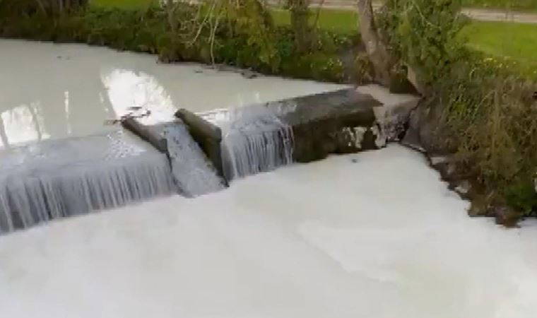 Galler’de süt akan nehri gören şaşkına döndü