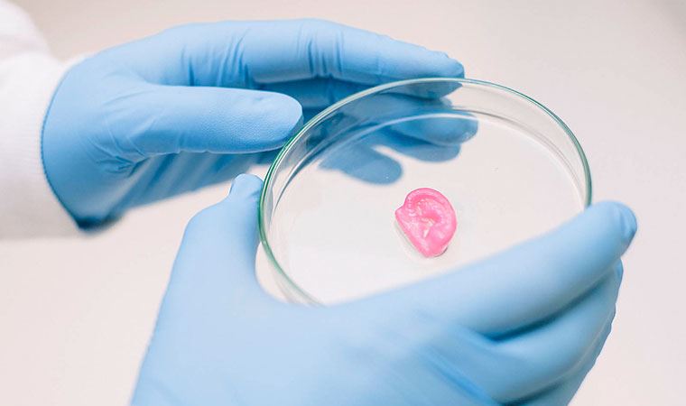 Ağlayan gözyaşı bezi, cam kavanozda büyüyen fare embriyosu... Sırada yapay insan mı var?