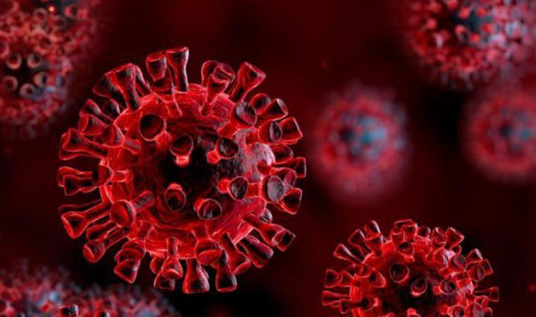 Japon araştırmacılar Covid-19'u 5 dakikada saptayabilen test metodu buldu