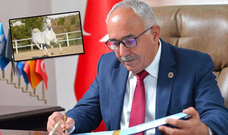 Son dakika... MHP'de 'kayıp atlar' istifası