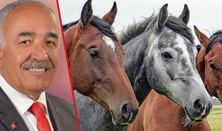 MHP'den istifası açıklanan başkan: Atlardan sucuk yapıldığı iddiası asılsızdır