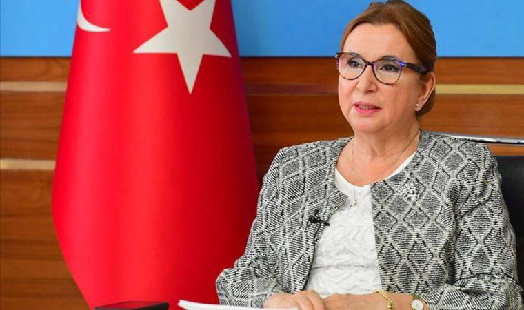 CHP'den Bakan Pekcan'a istifa çağrısı