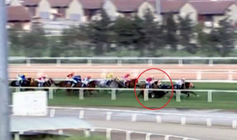 Adana'daki at yarışı kazalarıyla ilgili araştırma başlatıldı