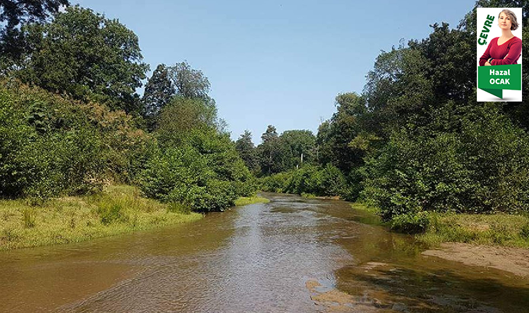 Kanal İstanbul, kentteki barajları yutacak. İstanbul için Trakya’ya baraj yapılacak