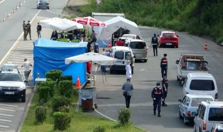 Karadeniz'e 'çay göçü' hızlandı: Uzmanlar uyarıyor