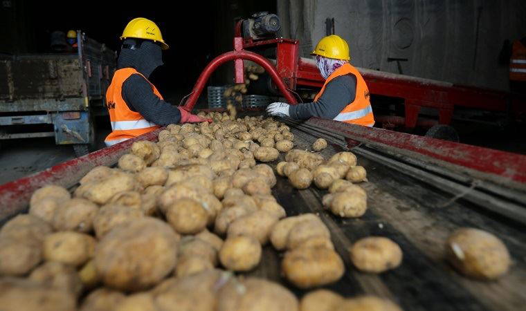 CHP Niğde İl Başkanı: AKP'yi desteklemeyenin patates alınmıyor