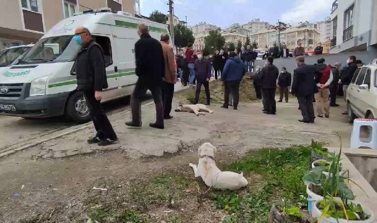 Kalp krizi geçiren sahibini hastane önünde bekleyen Pamuk köpek öksüz kaldı