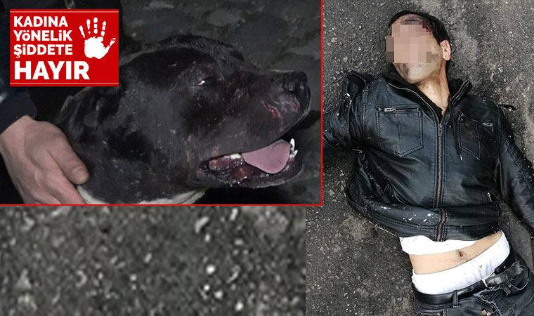 Taciz şüphelisini köpek yakaladı, esnaf dövdü