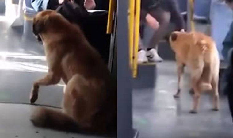 Tunç Soyer paylaştı: İzmir'in 400.001'inci yolcusu