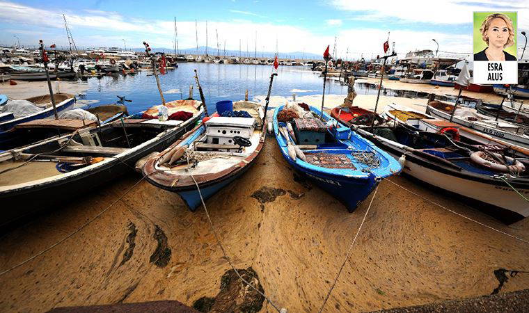 Marmara’da deniz salyasından mağdur olan balıkçılar destek bekliyor