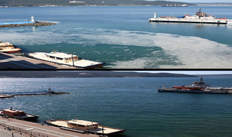 Çanakkale'de kuvvetli rüzgar deniz salyasını dağıttı