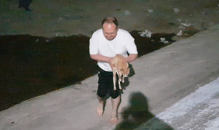 Gölete düşen kediyi boğulmaktan kurtardı