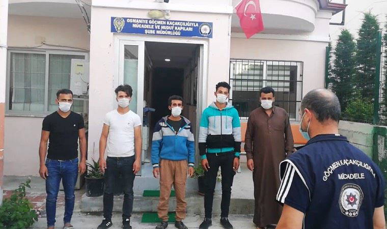 Çevirmeye yakalandılar: 