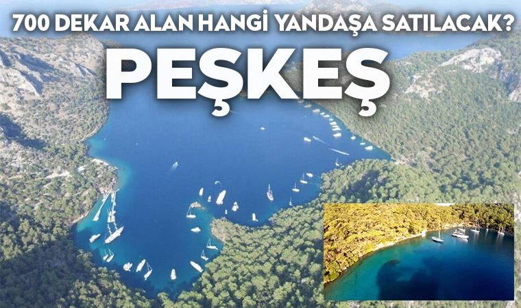 Yapılaşma hakkı 5 kat artırıldı: 'Hangi yandaşlara satılacak?'