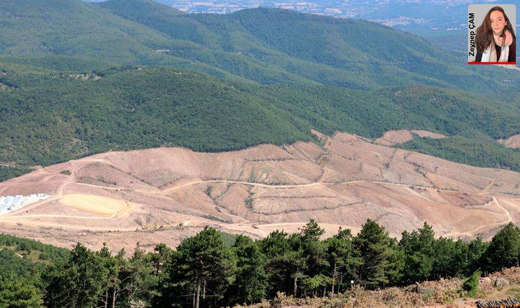 Türkiye’de Altın Madenciliği: 'Ya madencilik ya çevre' paradoksu