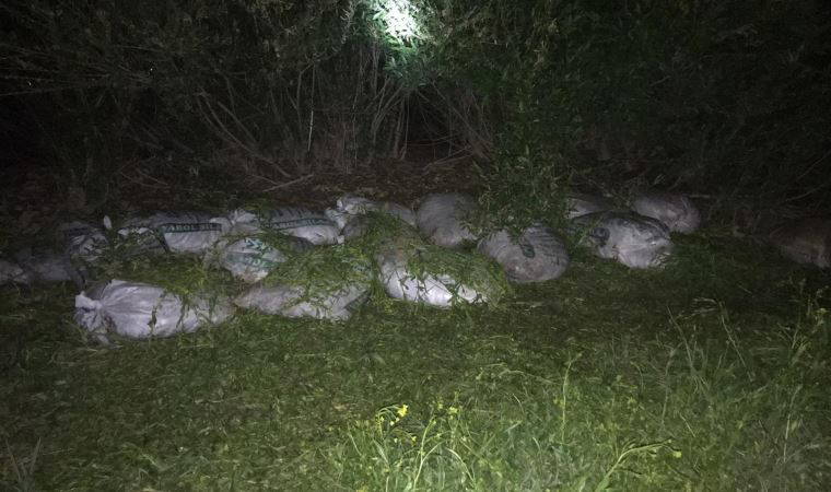 Van'da kaçak avlanan 1 ton 750 kilo inci kefali ele geçirildi