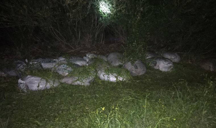 Van'da kaçak avlanan 1 ton 750 kilo inci kefali ele geçirildi