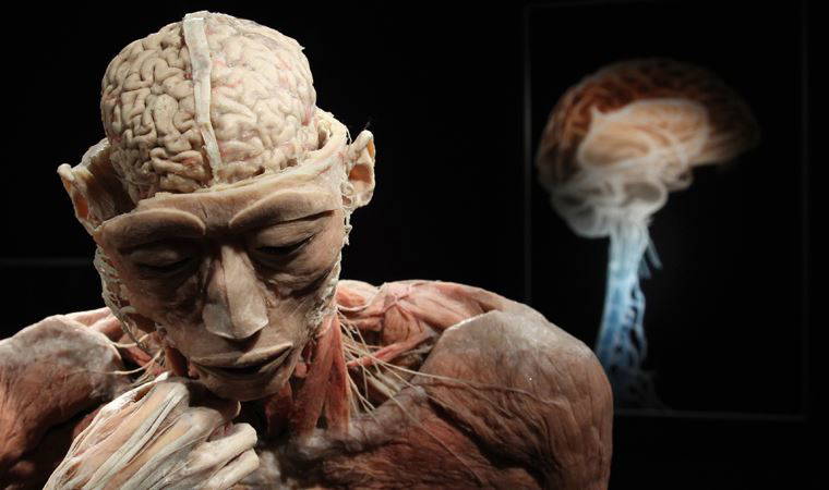 İnsan beynini yeniden yaratmayı hedefleyen iddialı proje