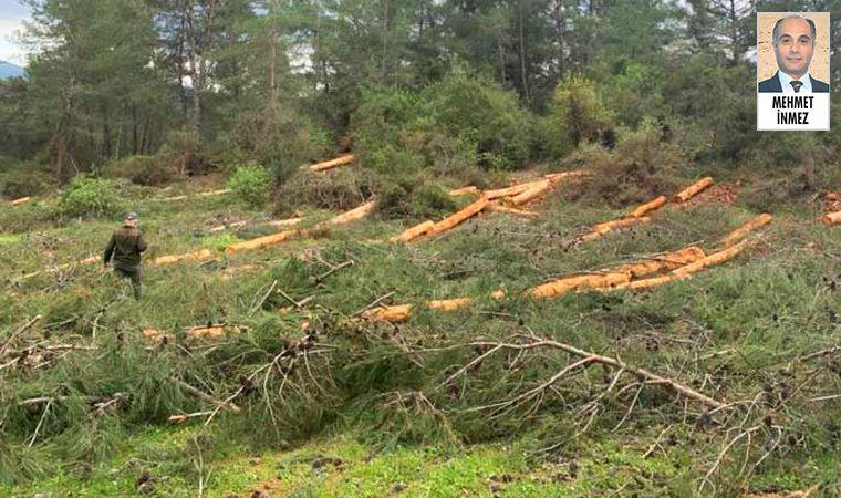 Muğla’da yeşil alanların inşaata açılmasına karşı hukuk savaşı başlatıldı