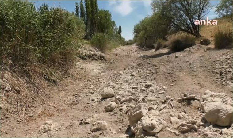 Türkiye'nin üçüncü en uzun nehri Sakarya'nın kolları kuruyor