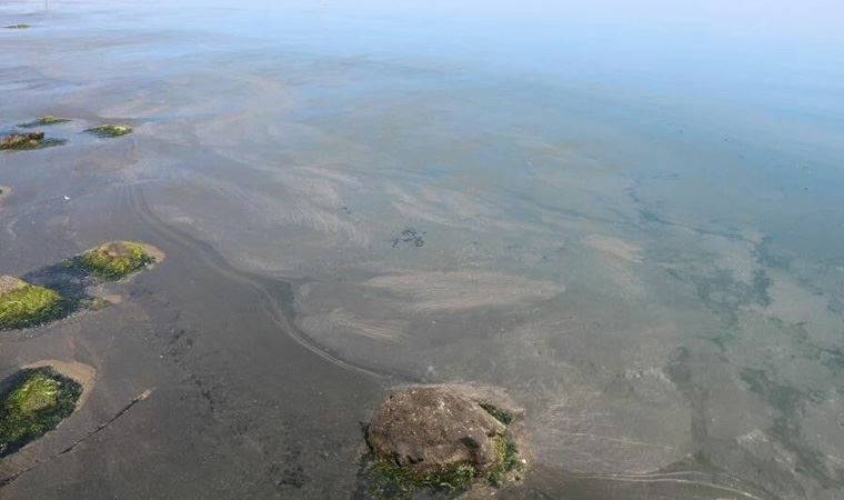 Marmara Denizi'nin ardından Karadeniz'de de deniz salyası görüldü