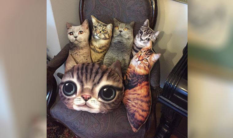 Başkan Büyükerşen sosyal medyadan duyurdu: Türkiye’nin ilk Kedi Müzesi’ni açacağız