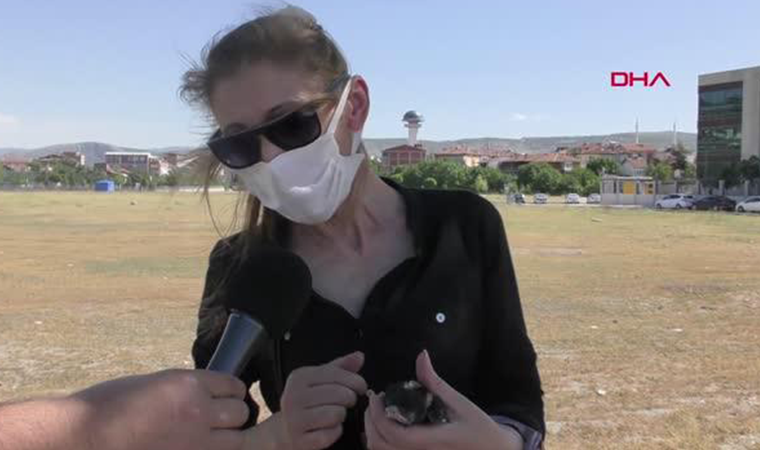 Ağaçtan düşen yavru karga, itfaiye merdiveniyle yuvasına konuldu