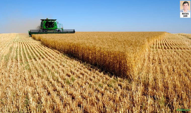 Tarımda 'tükenmişlik sendromu': 