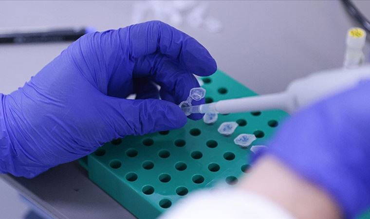 Son dakika... TÜBİTAK Başkanı Mandal, yerli aşı için tarih verdi!