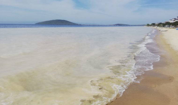 Avşa Adası kıyılarını deniz salyası kapladı