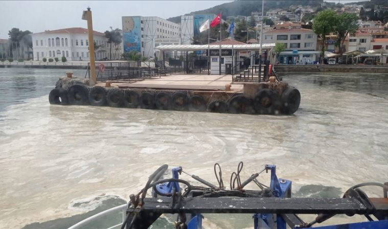 Korkulan oluyor: Müsilaj nedeniyle Kırmızı mercan yatakları ölmeye başladı