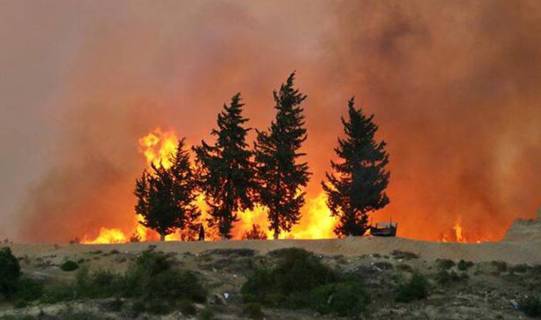 Muğla'nın Ortaca ilçesinde orman yangını başladı