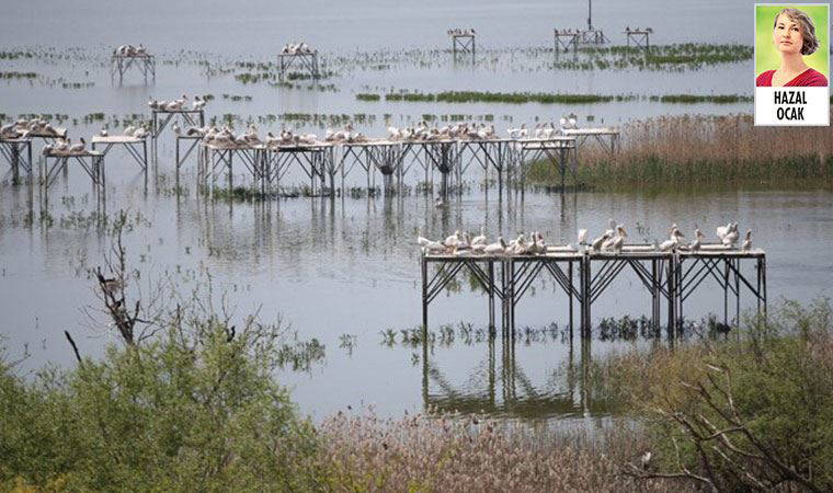 Akçay Sazlığı ve Sulak Alanı rant tehlikesiyle karşı karşıya