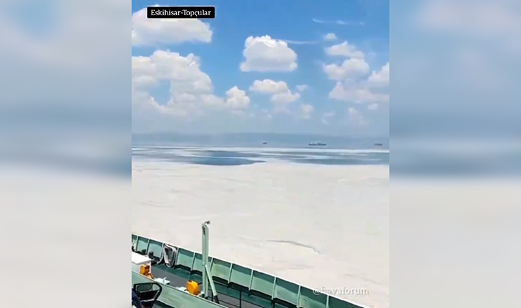 CHP'li Tuncay Özkan paylaştı: İktidar Marmara Denizi'ni öldürdü