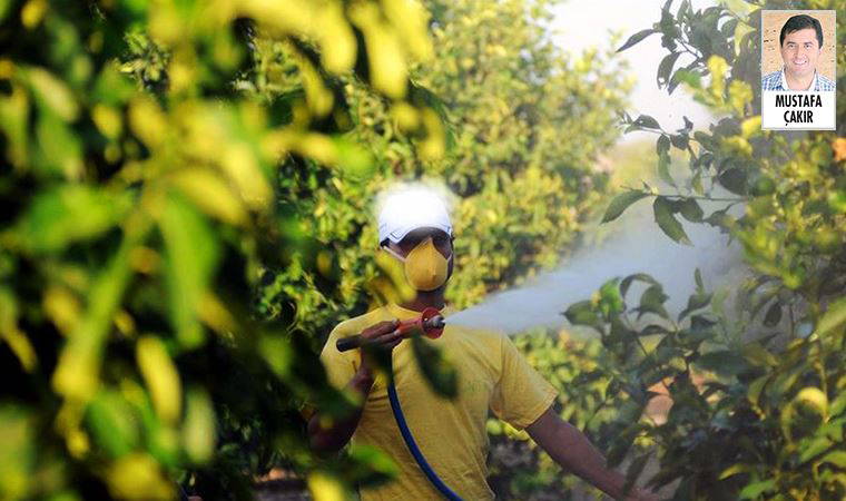 Zirai ilaç ambalaj atıkları hiçbir önlem alınmadan doğaya bırakılıyor