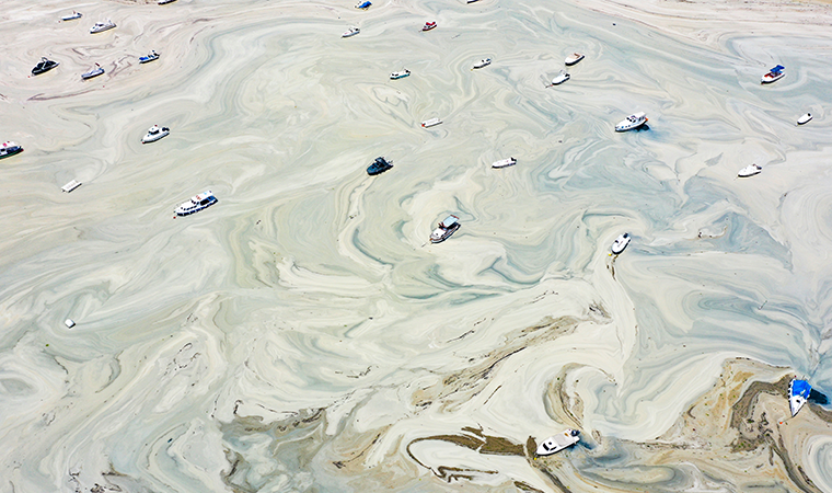 Caddebostan sahilinde korkunç görüntüler... Müsilaj yoğunluğu arttı