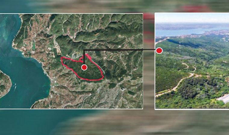Orman arazisini betona boğacaklar! Beykoz'daki arazi özellikle seçildi