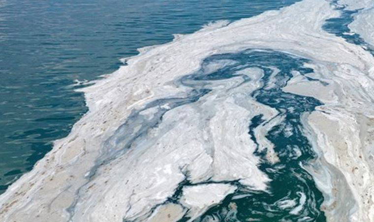 Yunanistan Ege'de görülen deniz salyası için harekete geçti
