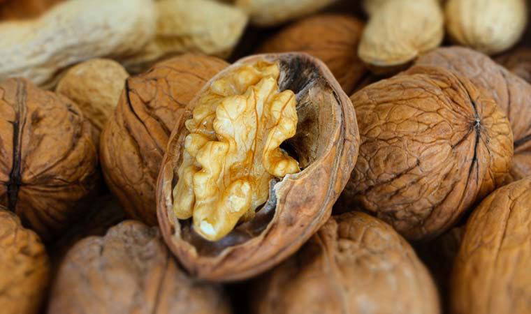 Cevizin faydaları nelerdir, ceviz tüketirken nelere dikkat edilmeli?