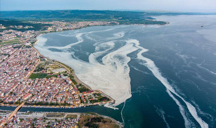 Prof. Dr. Ayaz'dan müsilaj uyarısı: Ege Denizi'ne doğru akıyor